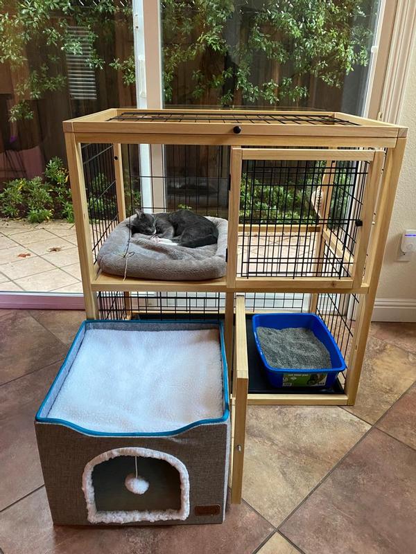 Chewy cat clearance cage