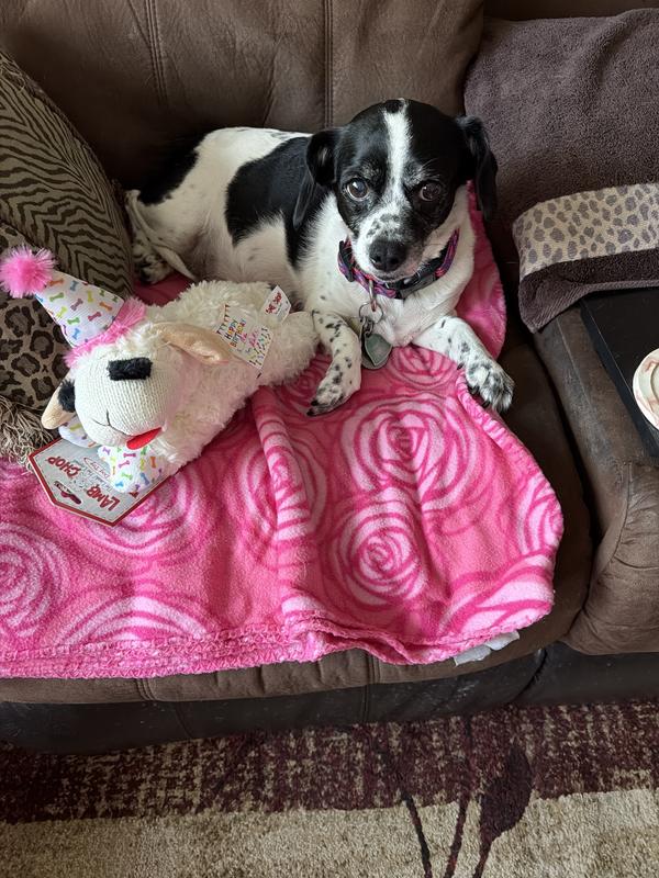 Mia’s perfect 13th birthday.