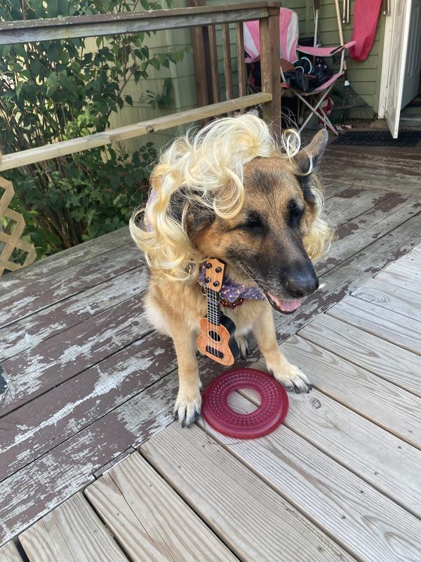 Blondes really do have more fun!