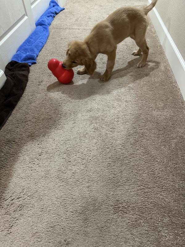 Kong Wobbler Dog Toy Slows Down Mealtime for Dogs That Eat Too Fast