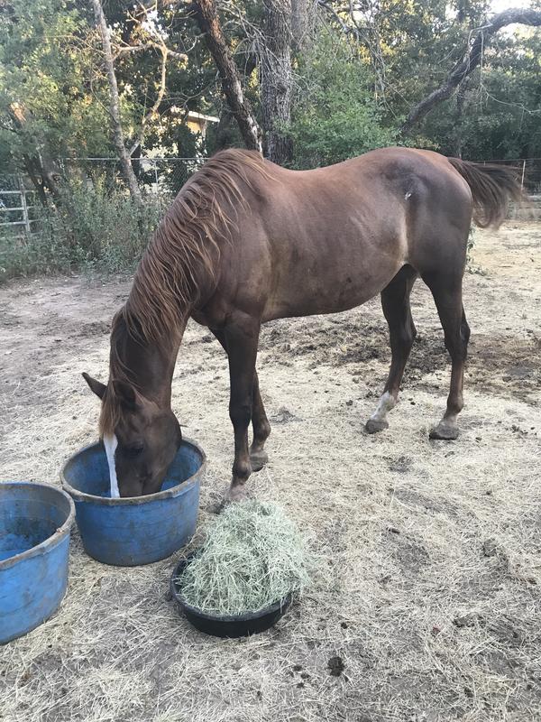 Golden Oldies Mash for beautiful 30 yr Annie