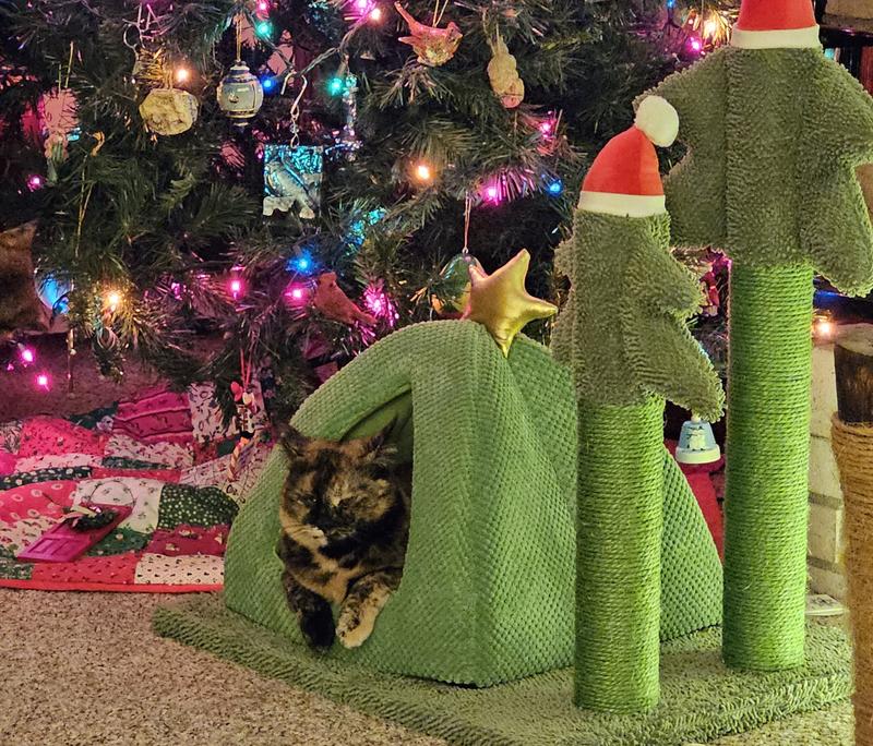 Temporarily Unavailable - FRISCO Holiday Tree House & Scratching Posts ...