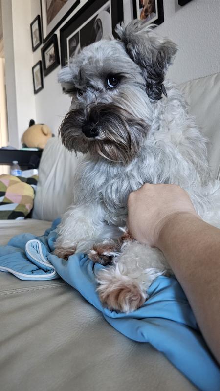 Before use of shampoo