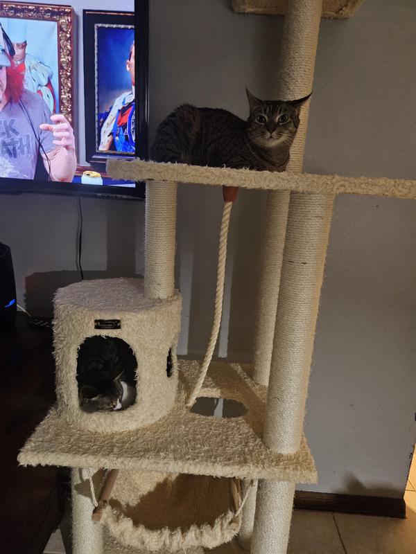 Both have a happy place