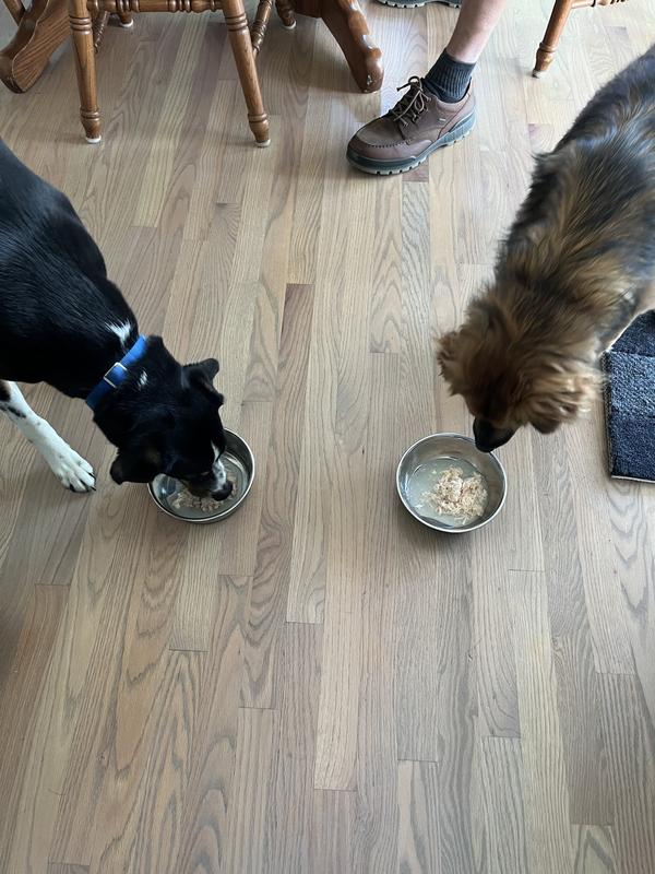 Mason making sure it passes his sniff test before starting