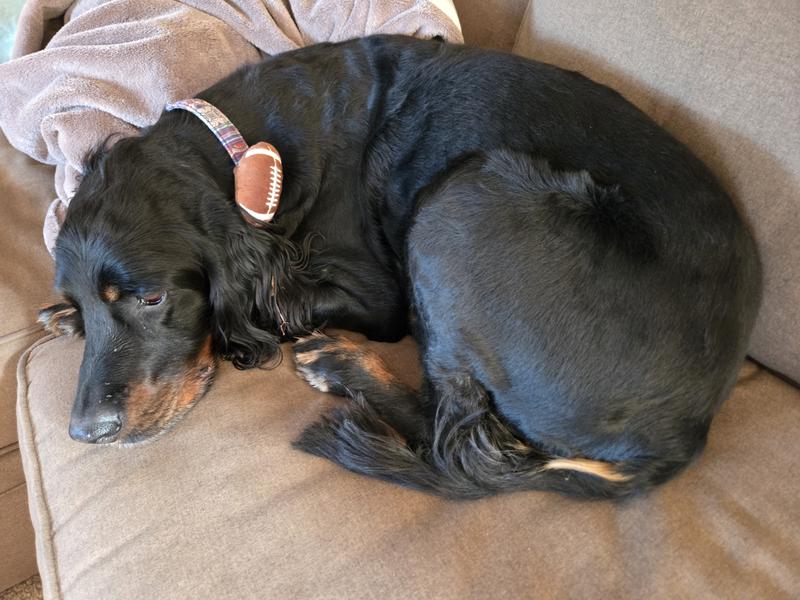 Resting up before kick-off!