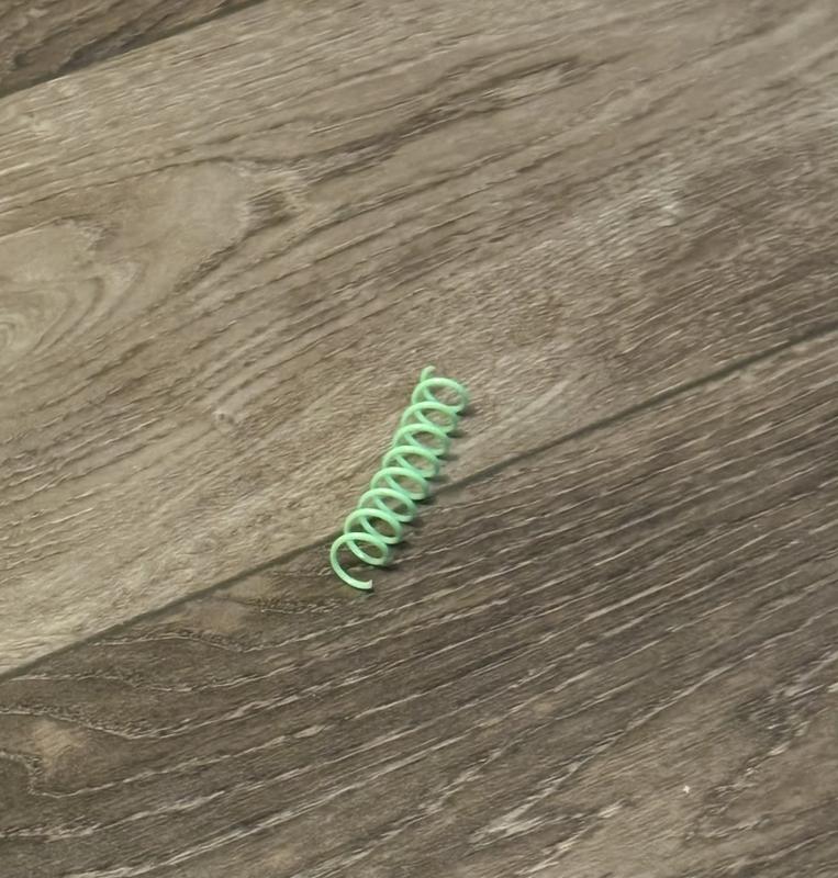 A lone spring got no love from my cats.