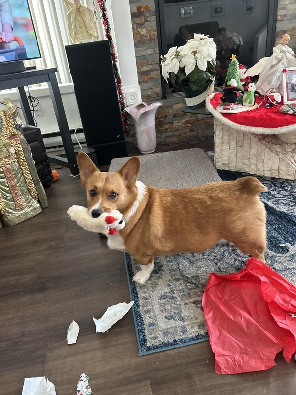 Guinness showing off his slimmer self.