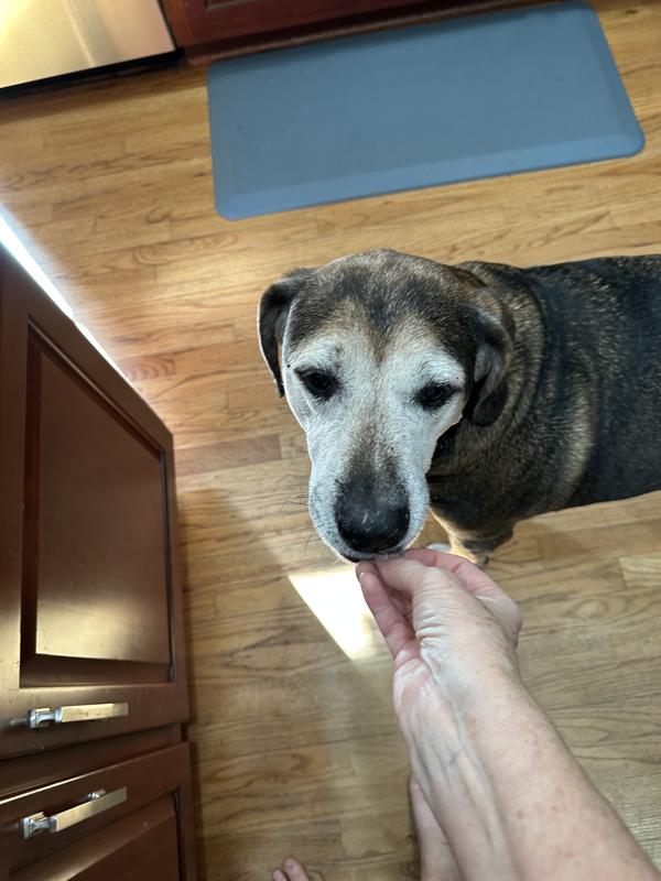 Louie enjoyed it as well!😀