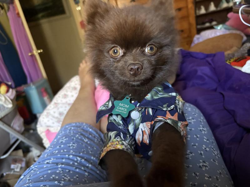 Toby, happy with the food you love it