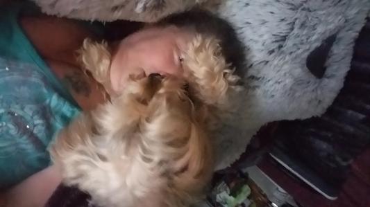 My gorgeous Chewie. The reason we tried Chewie.com.