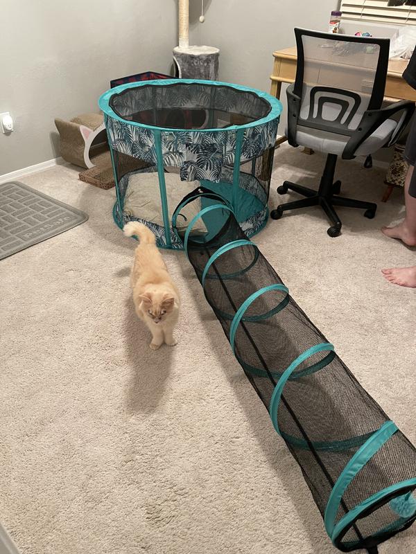 FRISCO Mesh Outdoor Popup Cat Round Playpen & Tunnel, Leaf, 36in L x