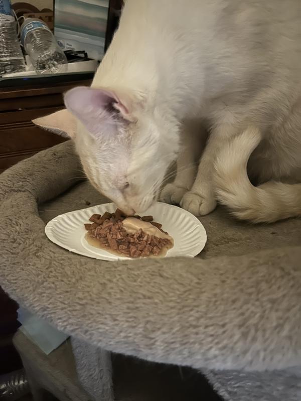 Marshmallow likes it as a meal topper