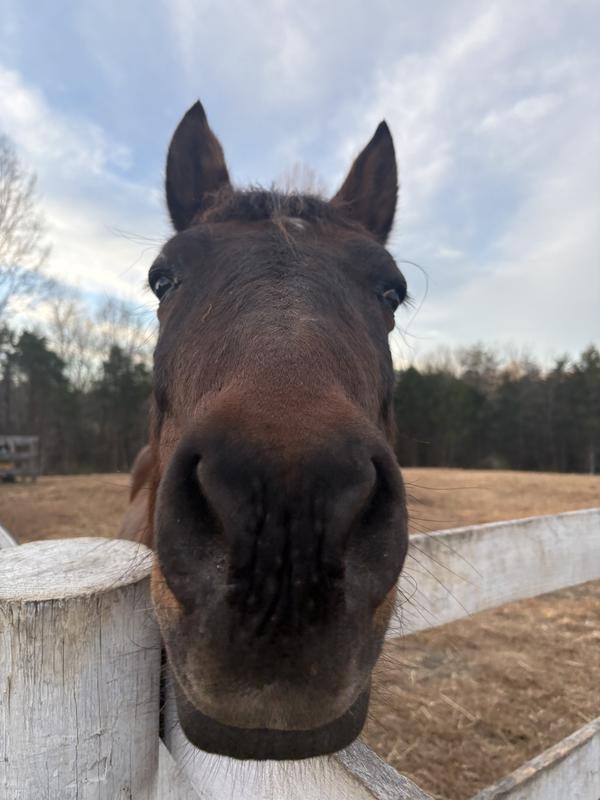 “Is that my breakfast?”
