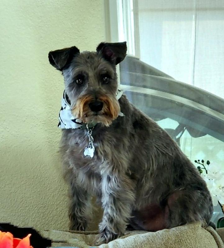 NOT Spoiled, just loved!