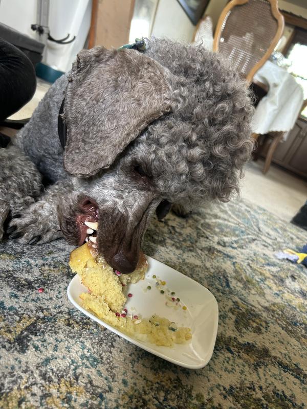 Fussy eater even ate some!