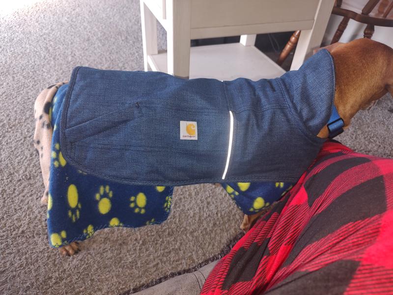 In extreme cold this coat makes adding layers underneath super easy. When it was 12°F out last week I was able to add two blankets underneath to provide extra warmth for Persephone.