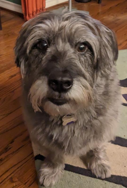 Is it time for my Whimzee?