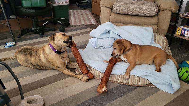 Me & my big baby brother with brand new bones.