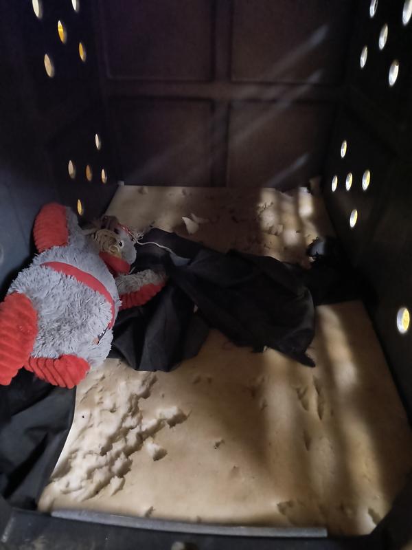 Wilma's destroyed bed...