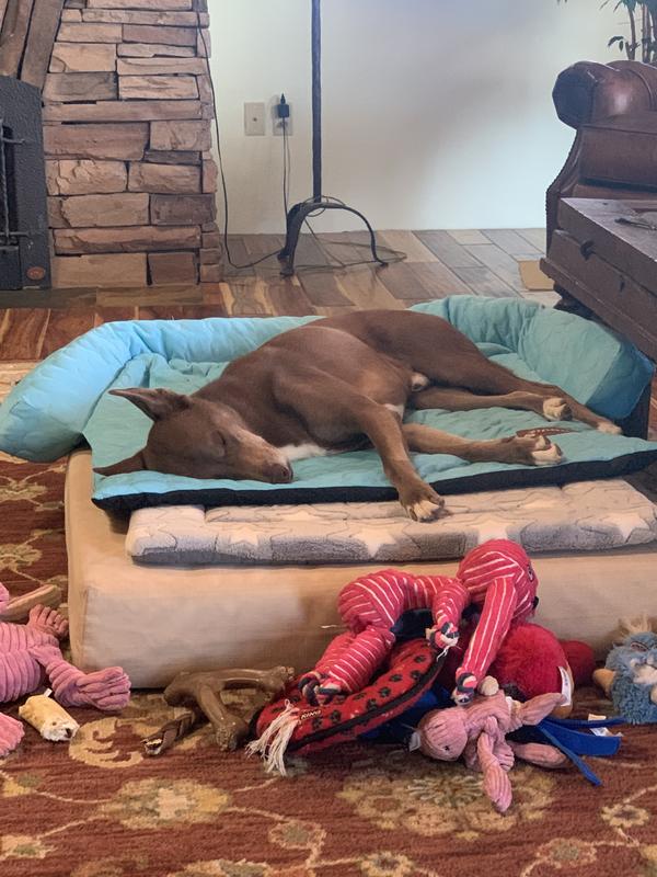 Me and my toys and a soft bed