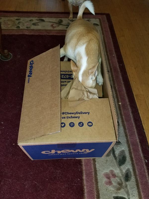 A new Chewybox has arrived