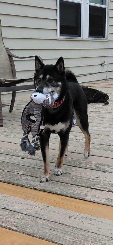 Soren not wanting to share