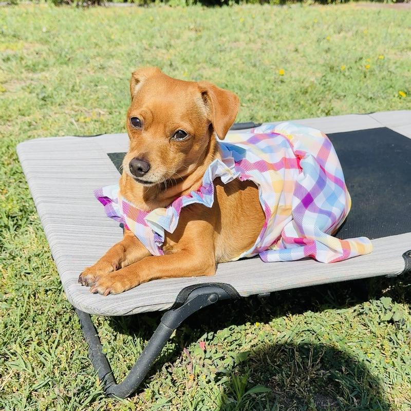 Posing for Easter pictures in her pretty dress.