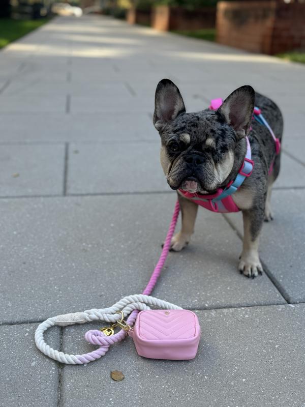 Maggie Rope Leash