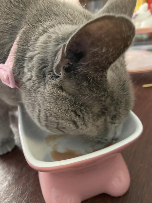 Out of Stock FRISKIES Lil Complements Wet Cat Food Topper, 5.5oz box, case of 4