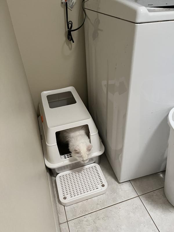 Gemma loves the new box