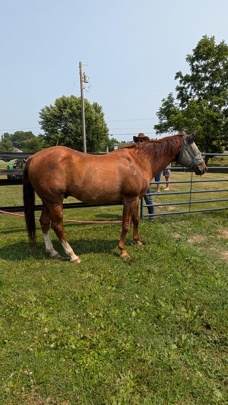 Looks good for almost 27!