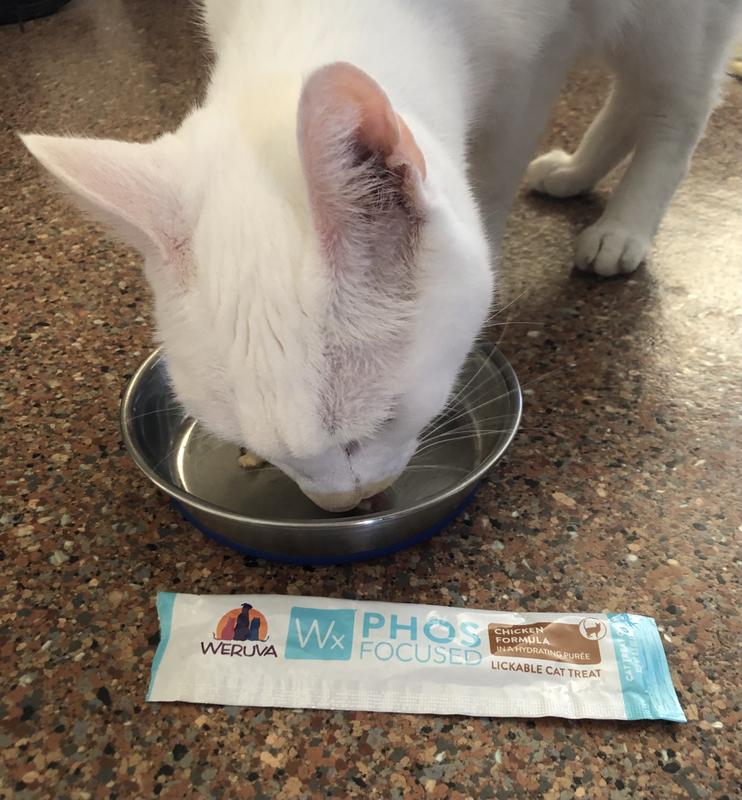 Disappears within seconds, More Please!