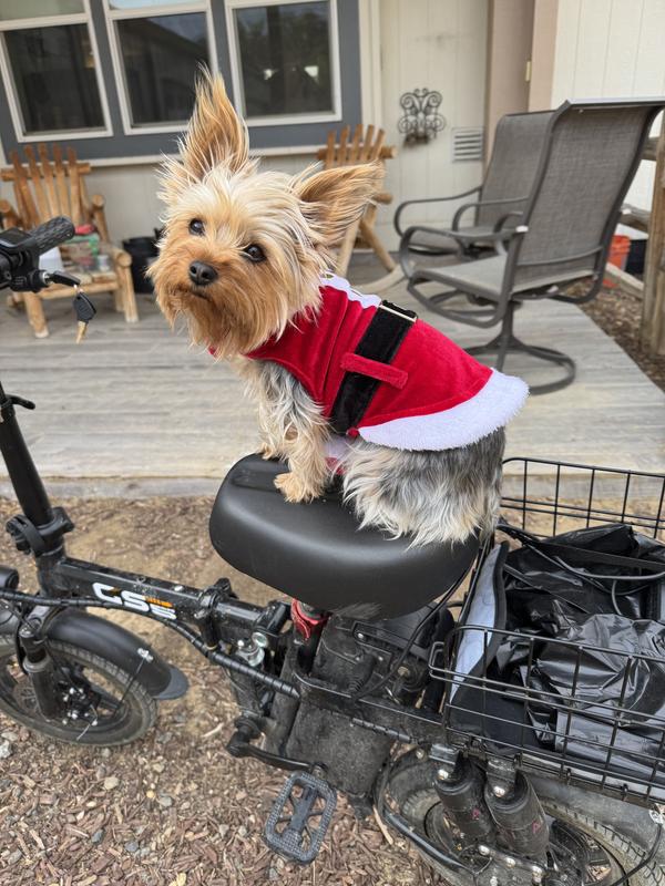 Cricket is ready to hit the skies and deliver packages to all the other kids!