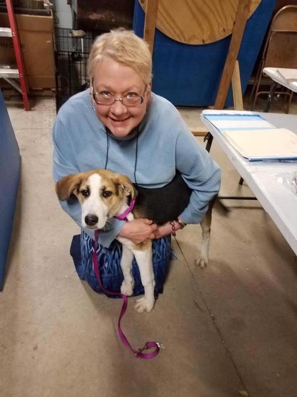 Picking Willow up from an all kill shelter after her air plane flight from Kentucky to her forever home with me in Michigan❣️