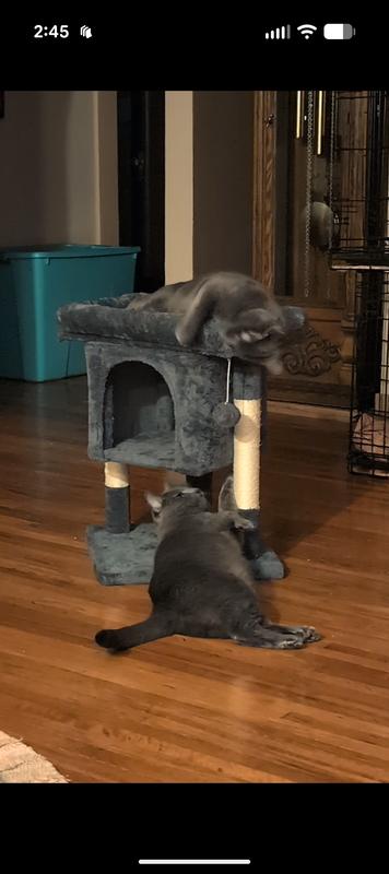 Daisy May Diva is the queen!