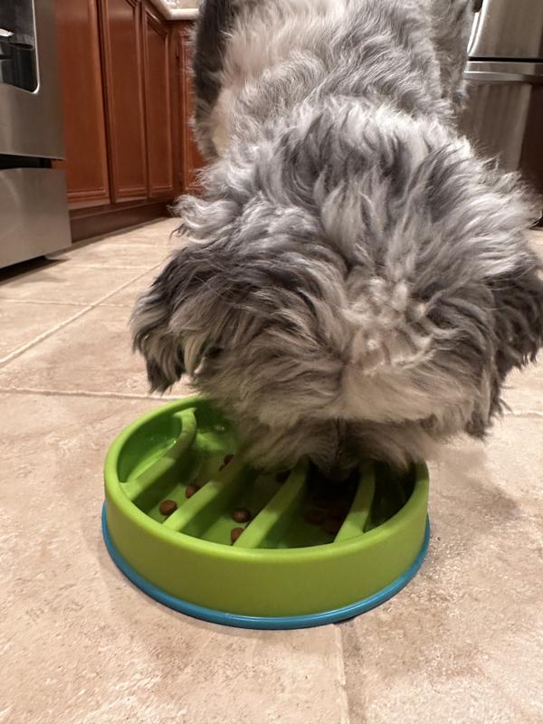 He enjoyed the taste, at least!