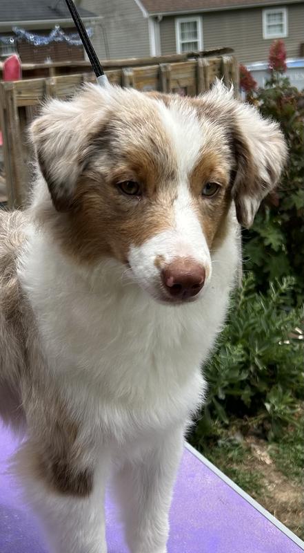 Perfect for this little one