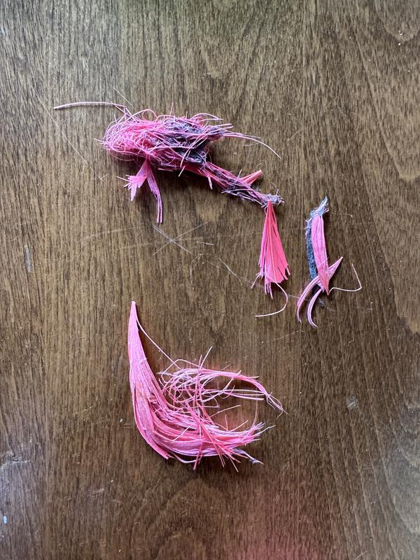 Total feathers found so far