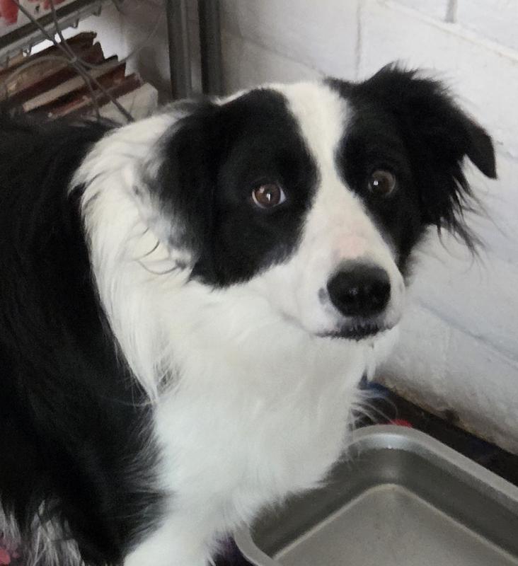 Look at that face!!!