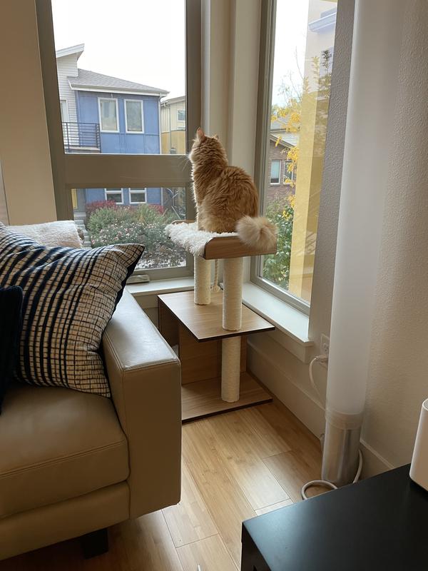 FRISCO 28.5in Modern Cat Tree & Condo, Gray