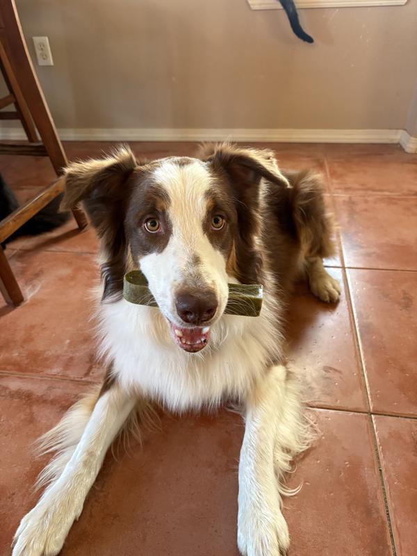 picture of the cool packaging. As you can see my dogs absolutely love these treats.