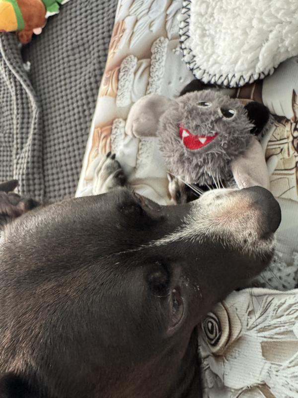 Playing with her bat right now!