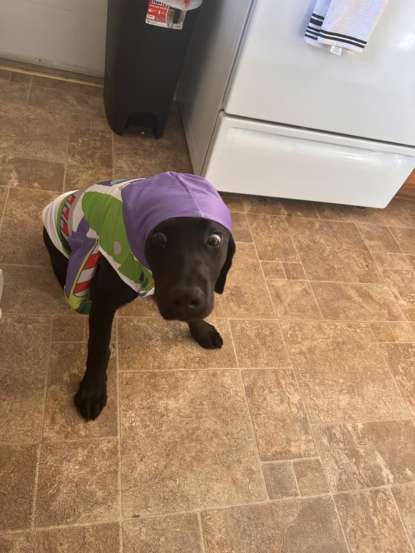 FETCH FOR PETS Disney Halloween Toy Story Buzz Lightyear Dog Costume ...