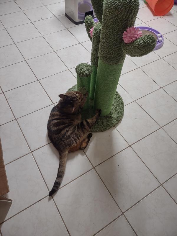 Pugsley approves! Everyone else does, too, including me.