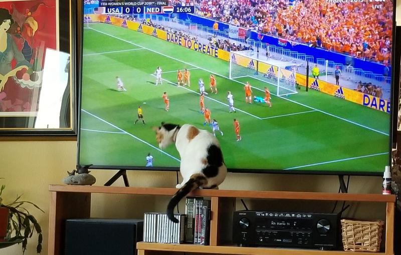 Soccer is her favorite sport, She has her eye on a player to her left.