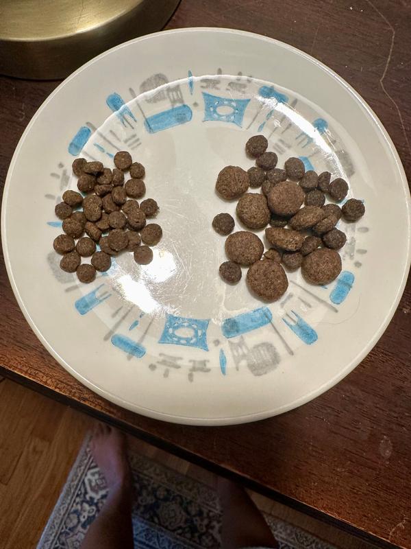 Kibble too big for cats