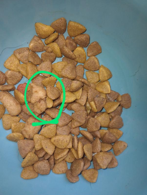 handful of food &1 piece of chicken