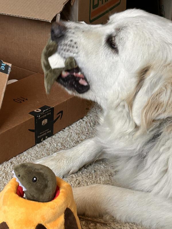Daisy Chewing Dinosaur