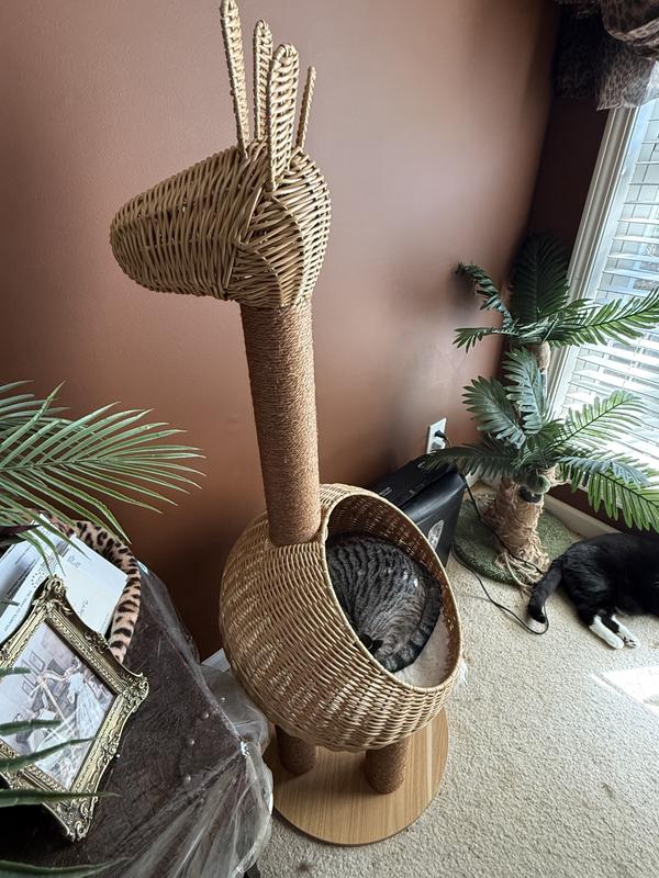 Product Reviews for FRISCO Giraffe 51